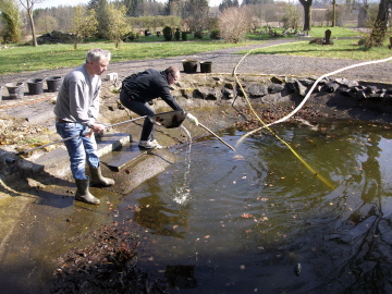 Teich leer pumpen und säubern