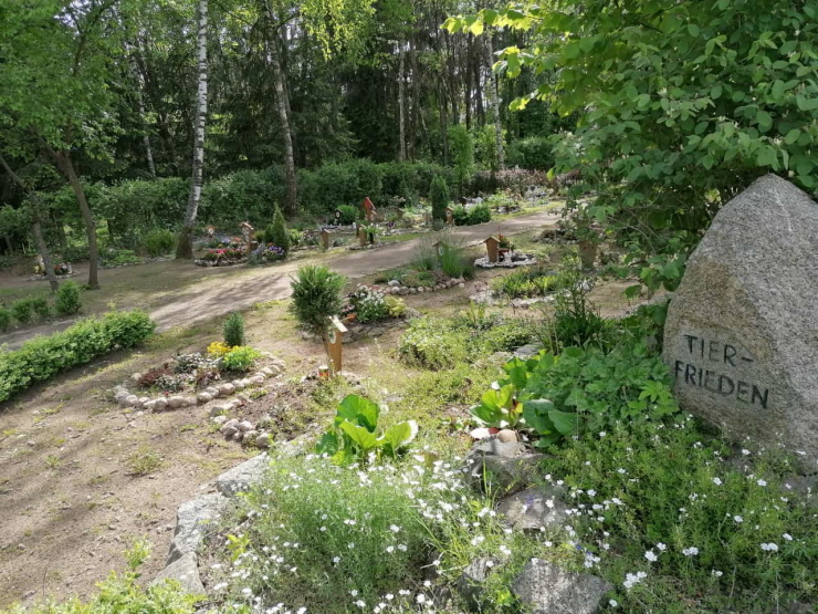 Bild vom Juni 2021 - Für enen ruhigen, naturnahen (ohne Plastik und unnützen Ziekies) Tierfriedhof.